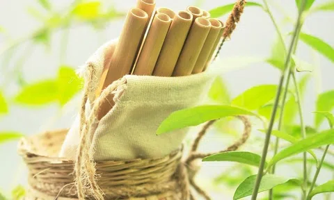 Các yếu tố ảnh hưởng đến ý định tiêu dùng xanh của người dân tại TP. Hồ Chí Minh