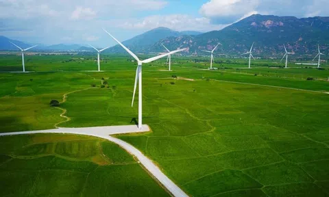 Vai trò của kinh tế xanh trong phát triển kinh tế vùng