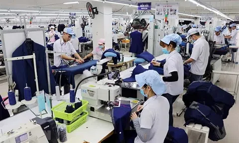 Quản trị nhân lực logistics Việt Nam: Thách thức và cơ hội trong kỷ nguyên số