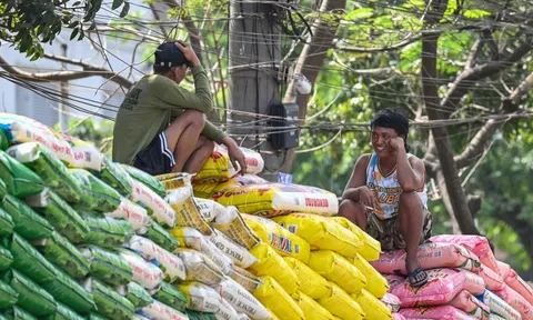 Tăng trưởng kinh tế nhiều nước ASEAN có thể chững lại trong nửa cuối năm