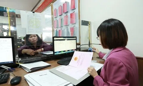Hơn 94.000 người có quyết định nghỉ việc