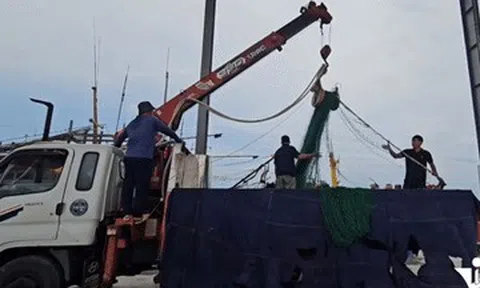 Cảnh tượng gấp rút trước bão số 5 ở Ninh Bình, ngư dân đồng loạt làm 1 việc