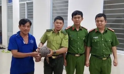 Phát hiện con tê tê quý hiếm nặng 4kg trên đường ở Tây Ninh