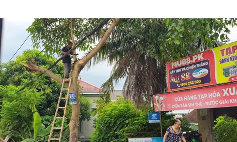 Hà Tĩnh - Quảng Trị: Tập trung di dời dân trước bão số 5