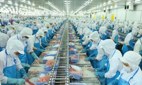 Đánh giá sự ảnh hưởng của vốn, chất lượng lao động đến năng suất lao động của các doanh nghiệp sản xuất, chế biến thực phẩm vùng Đồng bằng sông Hồng