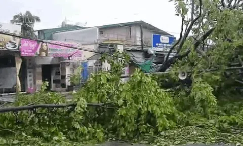 VIDEO: Tan hoang sau khi cuồng phong do bão số 5 quét qua
