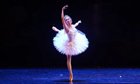 Sức hút ballet Hồ thiên nga