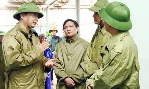 Ưu tiên khôi phục hoạt động y tế, giáo dục sau bão