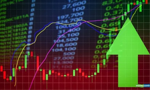 Đánh giá mức độ hiệu quả của thị trường chứng khoán Việt Nam bằng ước lượng Entropy hoán vị chuyển tiếp