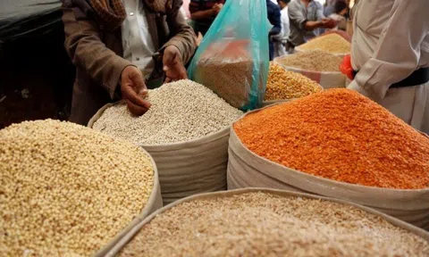 Tác động của độ mở thương mại đến an ninh lương thực: Nghiên cứu thực nghiệm tại các quốc gia châu Á