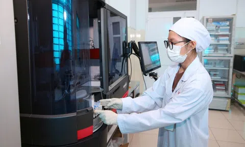 Việt Nam không ngừng phát triển, tăng vị thế: Bứt phá, phát triển toàn diện