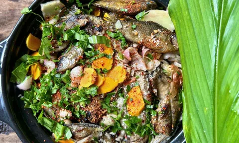 Sau bão, dân Quảng Trị đổ ra đồng bắt cá