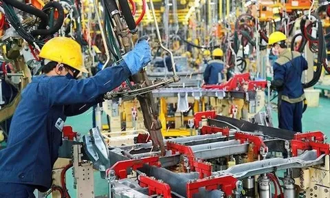 Đánh giá tác động của liên kết với doanh nghiệp nhà nước đến năng suất lao động của doanh nghiệp tư nhân ở Việt Nam