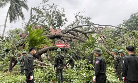 Dọn cây đổ sau bão ở Khu di tích Kim Liên đón người dân dịp Quốc khánh