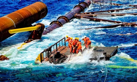 Doanh nghiệp 1 triệu tỷ duy nhất của Việt Nam "khoe" gì với Thủ tướng?