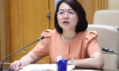 Phát ngôn gây chú ý của Cục trưởng Trần Việt Nga trước khi bị bắt tạm giam