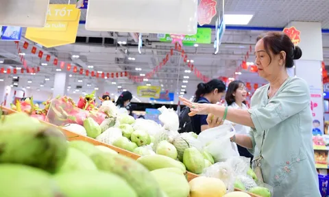 Tám thập niên kinh tế Việt Nam: Từ đói nghèo, chiến tranh đến khát vọng phép màu Đông Á mới