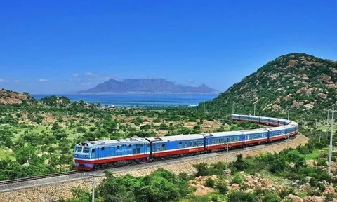 Công ty đường sắt có cựu CEO Chứng khoán SHS và nhà sáng lập Kita Group trở thành tân Chủ tịch và Phó Chủ tịch: Nắm trong tay quỹ đất khủng từ Bắc vào Nam