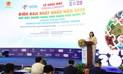 Doanh nghiệp Việt Nam cần nắm bắt thời cơ 'vàng' đa dạng hóa thị trường