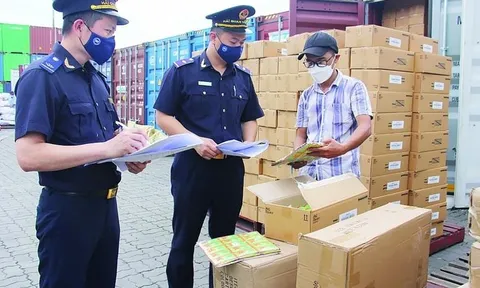 Doanh nghiệp dịch vụ vận chuyển dùng căn cước công dân giả khai hải quan để buôn lậu