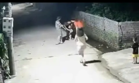 VIDEO: Bé trai 4 tuổi nhanh trí hô hoán người lớn cứu em 2 tuổi rơi xuống mương nước