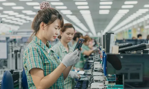 Kinh tế 8 tháng: Xuất siêu chục tỉ USD, số doanh nghiệp thành lập mới tăng vọt