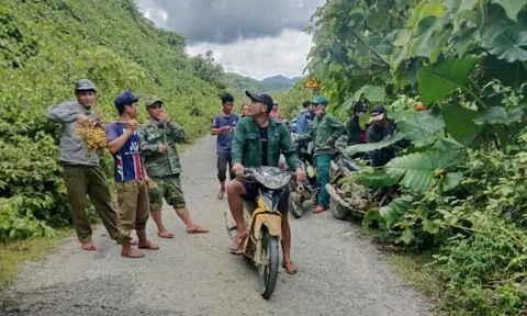 Đi thăm trang trại bò gần đập thủy điện, người đàn ông ở Đà Nẵng mất tích nửa tháng