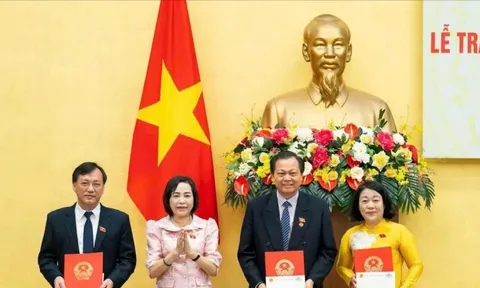 Phó Chủ nhiệm và 2 đại biểu Quốc hội chuyên trách nghỉ hưu trước tuổi