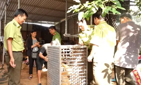 Bắt được động vật "lạ", lên mạng tra cứu thì tá hỏa giao nộp cho công an