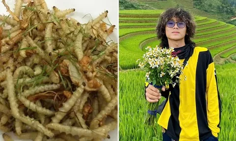 Lần đầu đến Mù Cang Chải, khách miền Tây bất ngờ với món ăn từ... côn trùng
