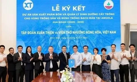 Hành động mới của "Bầu" Thiện tại châu Phi