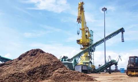 Đề xuất giải pháp nâng cao hiệu quả quản lý hải quan đối với xuất khẩu dăm gỗ