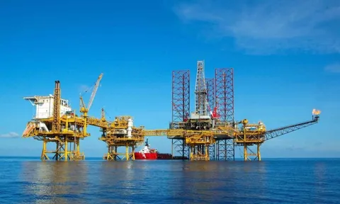 Tập đoàn nhà nước triệu tỷ của Việt Nam muốn đầu tư hơn 24 tỷ USD vào năng lượng tái tạo ở Cần Thơ