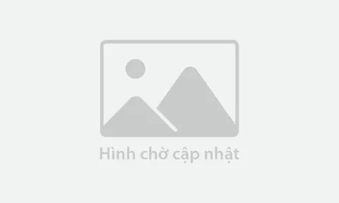 Chung khảo Giải Báo chí phòng chống tham nhũng