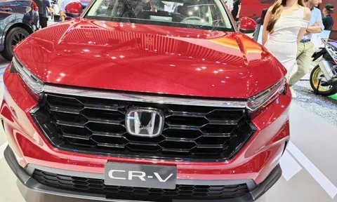 VAMA: Xe mới đạt chuẩn Euro 5 sẽ không bị ảnh hưởng bởi vùng phát thải thấp Hà Nội