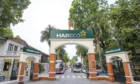 Hà Nội xem xét xây dựng Bảo tàng Bia Hà Nội tại đất quy hoạch trường học