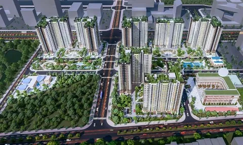 Năm Bảy Bảy muốn đầu tư 2 dự án 10.000 tỷ đồng, bầu 1 thành viên BKS