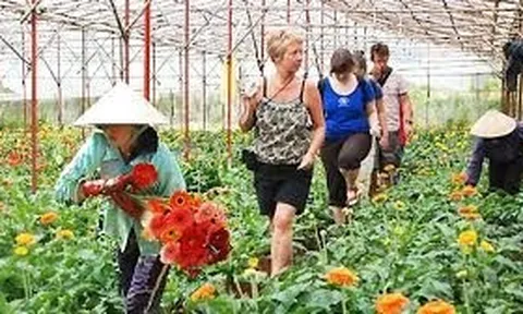 Thực trạng và giải pháp thu hút vốn để phát triển du lịch kết hợp nông nghiệp tại Việt Nam