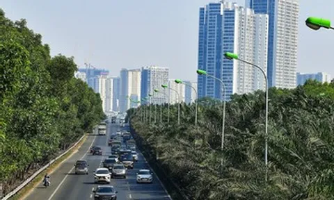 Trồng được 1 cây xanh trên cao tốc rất khó, sao lại bỏ đi?