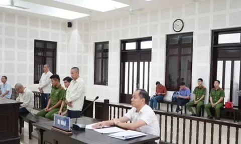 Thuê giang hồ chém cổ đông, chủ tịch công ty lĩnh án