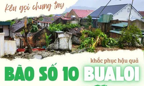 Báo Người Lao Động kêu gọi chung tay khắc phục hậu quả Bão số 10 BUALOI