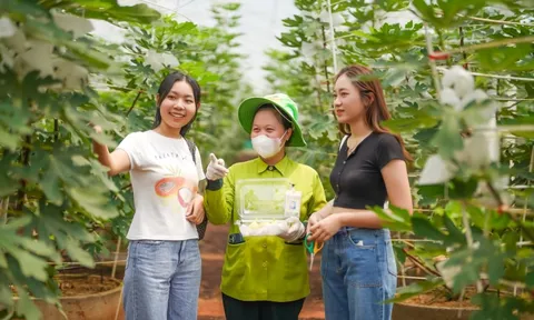 Tác động của sự hài lòng, giá trị cảm nhận, trải nghiệm đến động lực và lòng trung thành của du khách đối với du lịch nông nghiệp xanh tại TP. Hồ Chí Minh