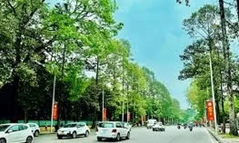 Thực trạng chuyển đổi xanh theo hướng phát triển bền vững trên địa bàn TP. Hà Nội