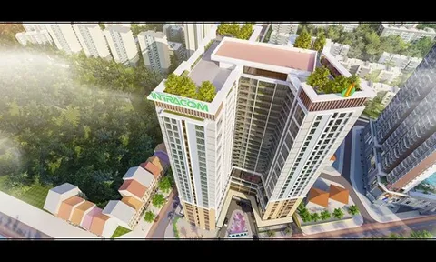 Intracom của Shark Việt bị 'điểm tên' trong danh sách chậm đóng bảo hiểm