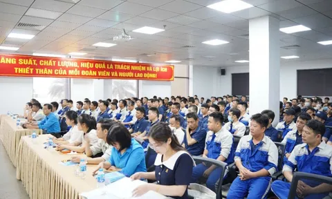 Bảo đảm tiền lương và phúc lợi lao động cho lao động di cư nội địa tại Việt Nam - một số vấn đề và hàm ý chính sách