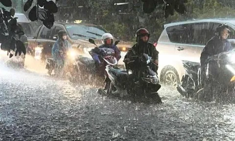 Dự báo thời tiết 15/10: Miền Bắc tiếp tục mưa lớn, nguy cơ tái diễn ngập úng