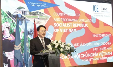Hợp tác Việt Nam - IFAD: Trao quyền cho nông thôn, thúc đẩy tăng trưởng xanh và bao trùm