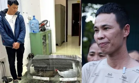 Phúc thẩm vụ "gà lôi trắng": VKS bất ngờ thay đổi kháng nghị, đề nghị miễn trách nhiệm hình sự với bị cáo