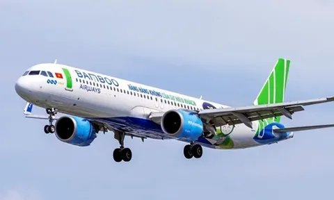 Bamboo Airways nợ hơn 32 tỉ đồng tiền bảo hiểm xã hội