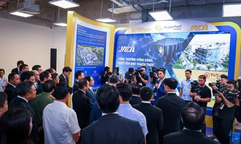 Giải mã Nền tảng Kết nối Logistics cho các doanh nghiệp vừa và nhỏ